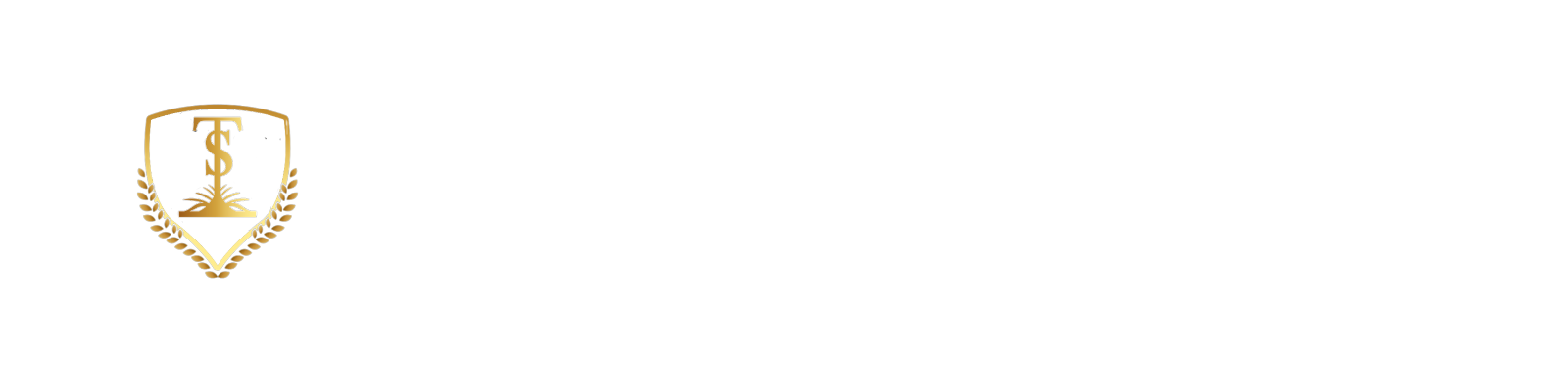 SETIANTO & CO